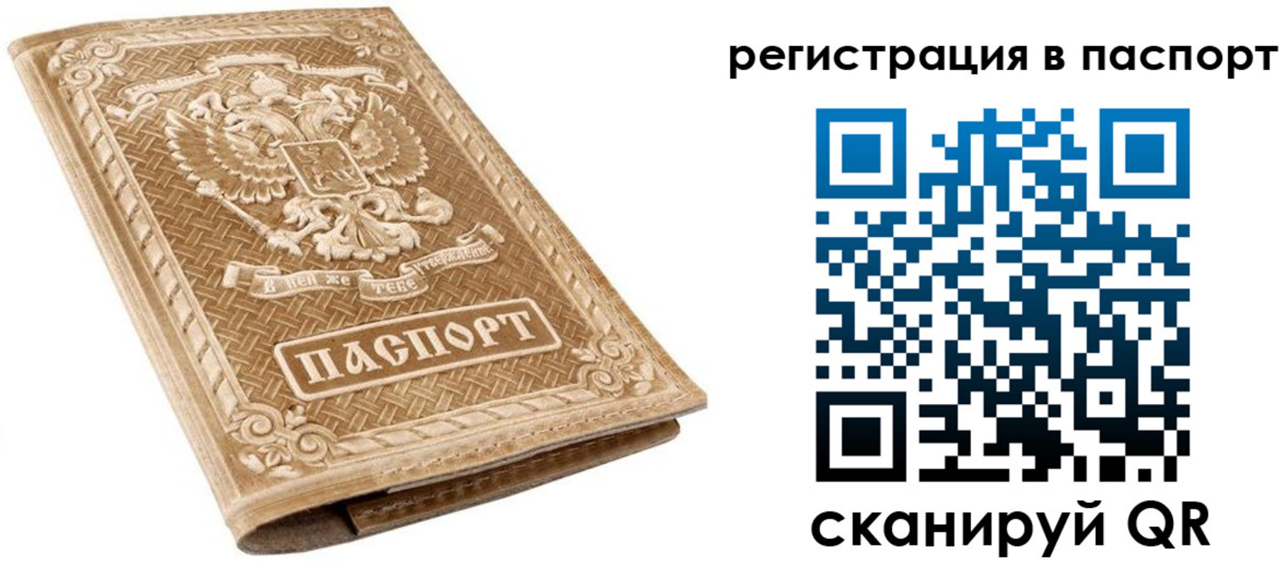прописка в Губкинском